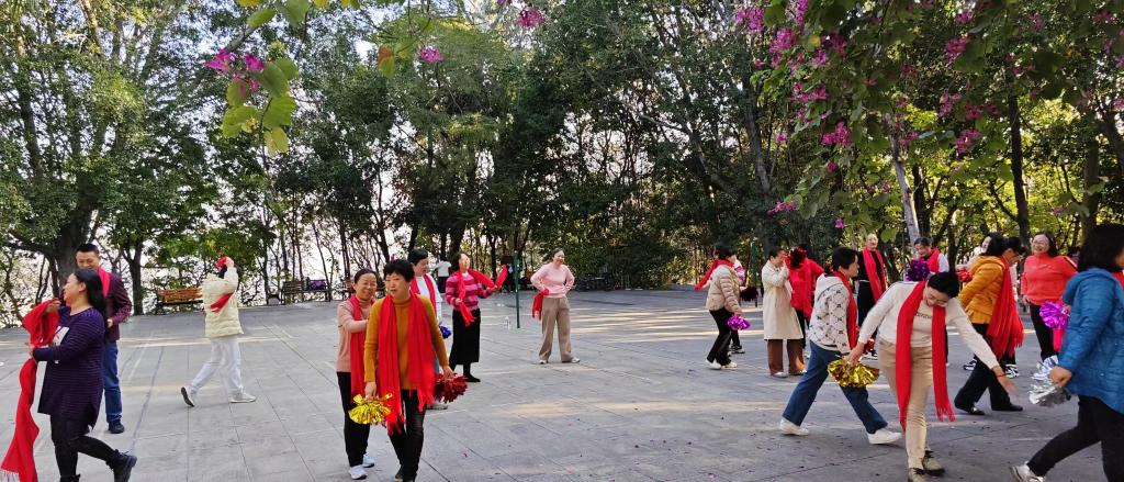 迎新年 健步行