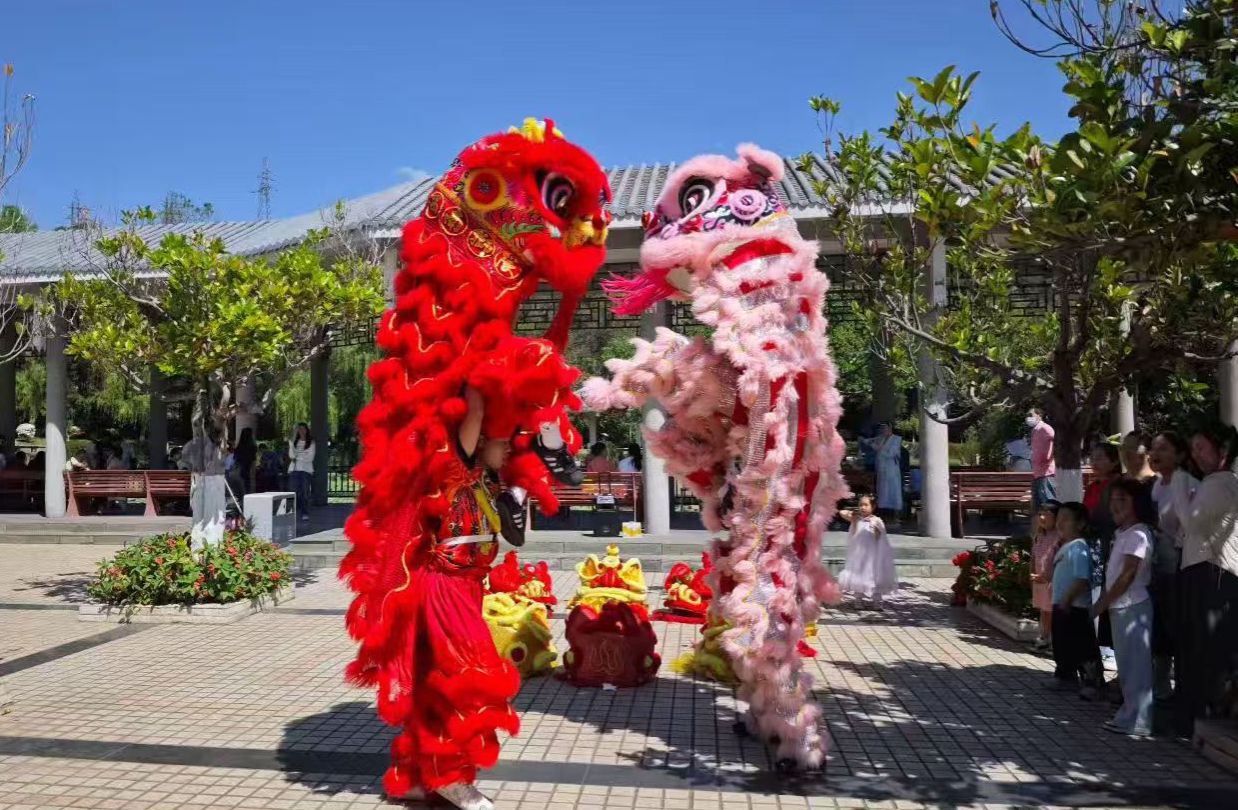 舞南狮现场 舞南狮现场